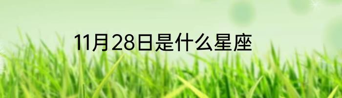 11月28日是什么星座