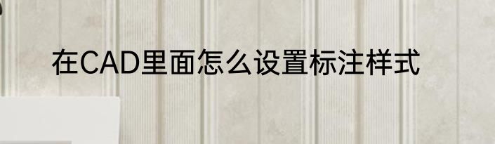 在CAD里面怎么设置标注样式