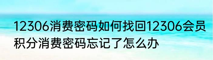 12306消费密码如何找回12306会员积分消费密码忘记了怎么办