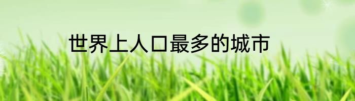 世界上人口最多的城市