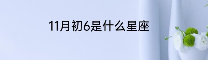 11月初6是什么星座