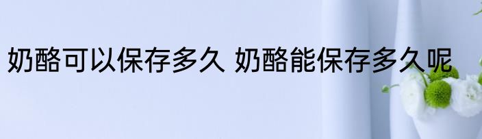 奶酪可以保存多久 奶酪能保存多久呢