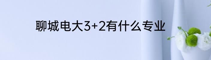 聊城电大3+2有什么专业