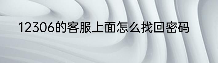 12306的客服上面怎么找回密码