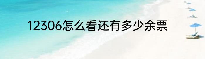 12306怎么看还有多少余票