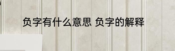 负字有什么意思 负字的解释