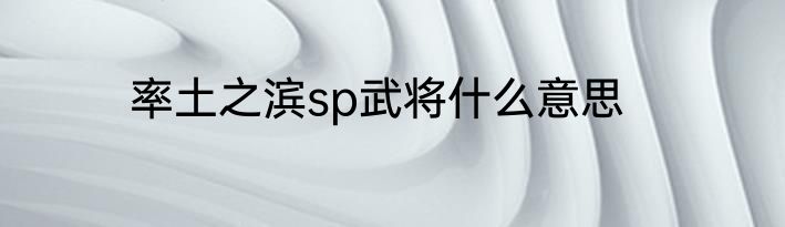 率土之滨sp武将什么意思