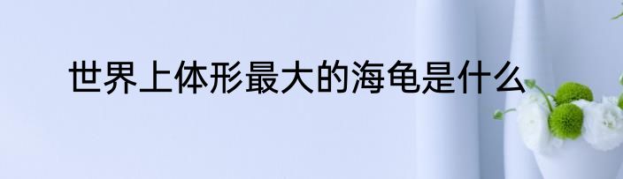 世界上体形最大的海龟是什么