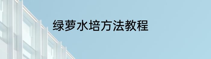 绿萝水培方法教程