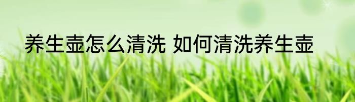 养生壶怎么清洗 如何清洗养生壶