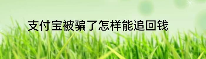 支付宝被骗了怎样能追回钱