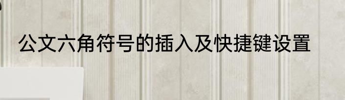 公文六角符号的插入及快捷键设置
