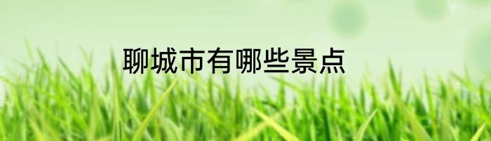 聊城市有哪些景点