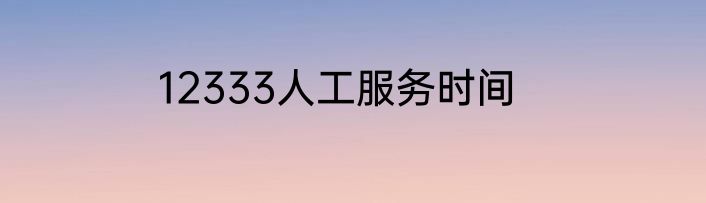 12333人工服务时间