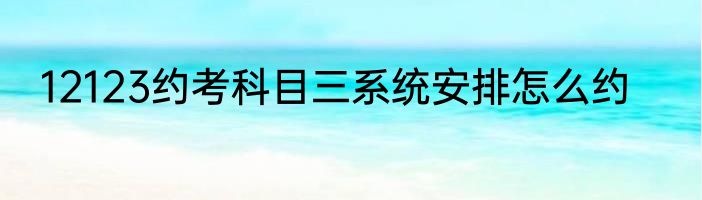 12123约考科目三系统安排怎么约