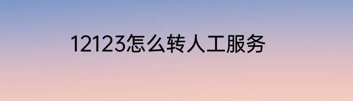 12123怎么转人工服务