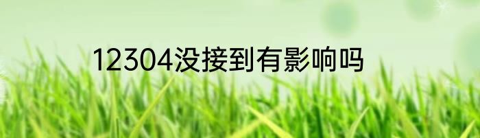 12304没接到有影响吗