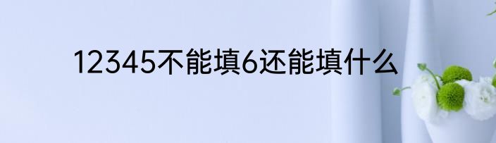 12345不能填6还能填什么