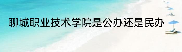 聊城职业技术学院是公办还是民办