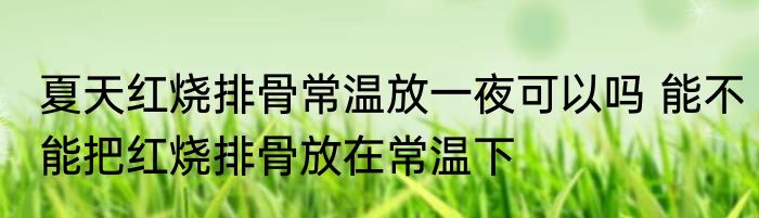 夏天红烧排骨常温放一夜可以吗 能不能把红烧排骨放在常温下