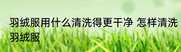 羽绒服用什么清洗得更干净 怎样清洗羽绒服