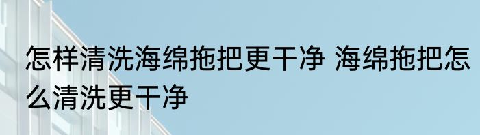 怎样清洗海绵拖把更干净 海绵拖把怎么清洗更干净