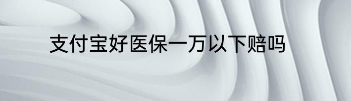 支付宝好医保一万以下赔吗
