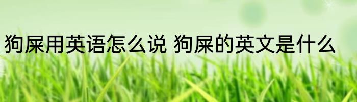 狗屎用英语怎么说 狗屎的英文是什么