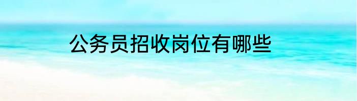 公务员招收岗位有哪些