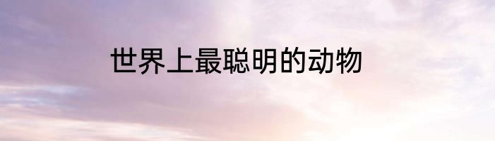 世界上最聪明的动物