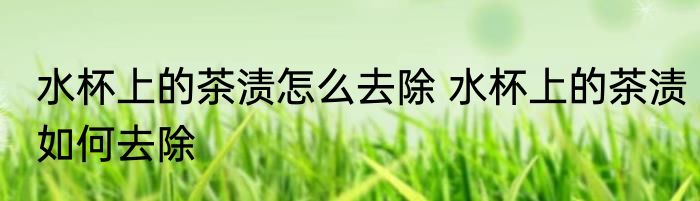 水杯上的茶渍怎么去除 水杯上的茶渍如何去除