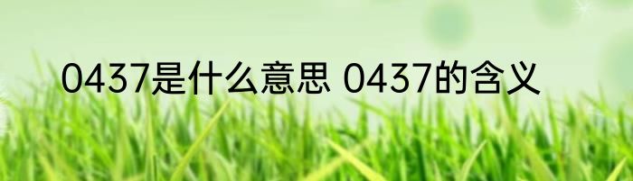 0437是什么意思 0437的含义