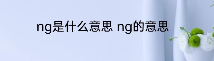 ng是什么意思 ng的意思