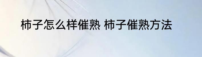 柿子怎么样催熟 柿子催熟方法