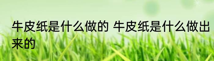 牛皮纸是什么做的 牛皮纸是什么做出来的