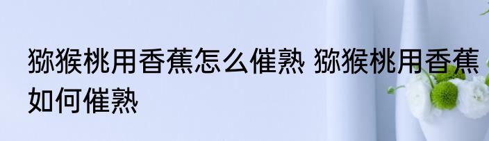 猕猴桃用香蕉怎么催熟 猕猴桃用香蕉如何催熟