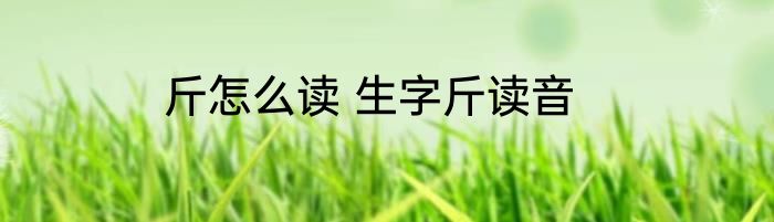 斤怎么读 生字斤读音