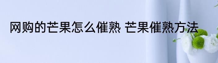 网购的芒果怎么催熟 芒果催熟方法