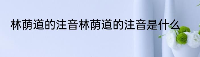 林荫道的注音林荫道的注音是什么