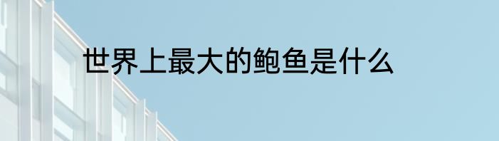 世界上最大的鲍鱼是什么