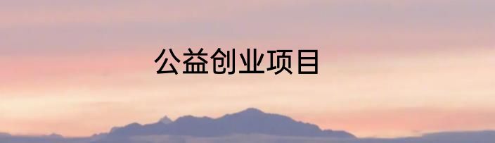 公益创业项目