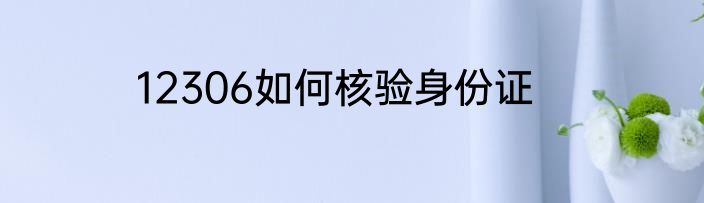 12306如何核验身份证