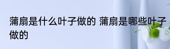 蒲扇是什么叶子做的 蒲扇是哪些叶子做的