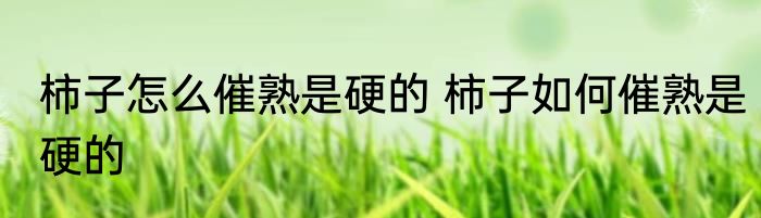 柿子怎么催熟是硬的 柿子如何催熟是硬的