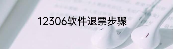 12306软件退票步骤