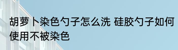 胡萝卜染色勺子怎么洗 硅胶勺子如何使用不被染色