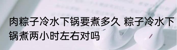 肉粽子冷水下锅要煮多久 粽子冷水下锅煮两小时左右对吗