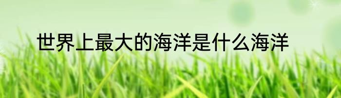 世界上最大的海洋是什么海洋