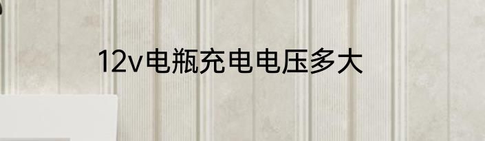 12v电瓶充电电压多大