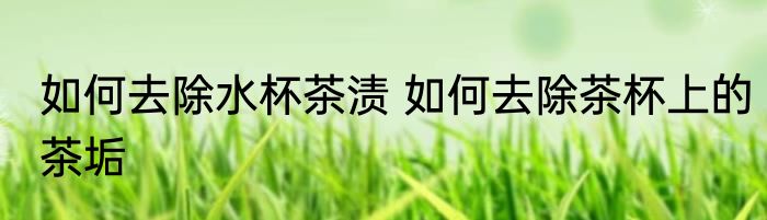 如何去除水杯茶渍 如何去除茶杯上的茶垢